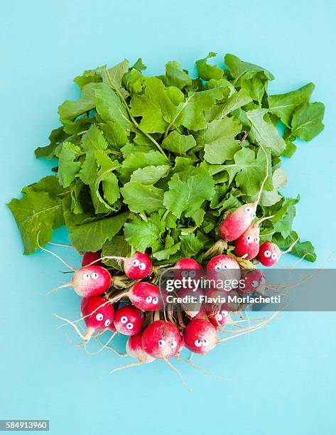 radishes with eyes - lustig bunt bildbanksfoton och bilder