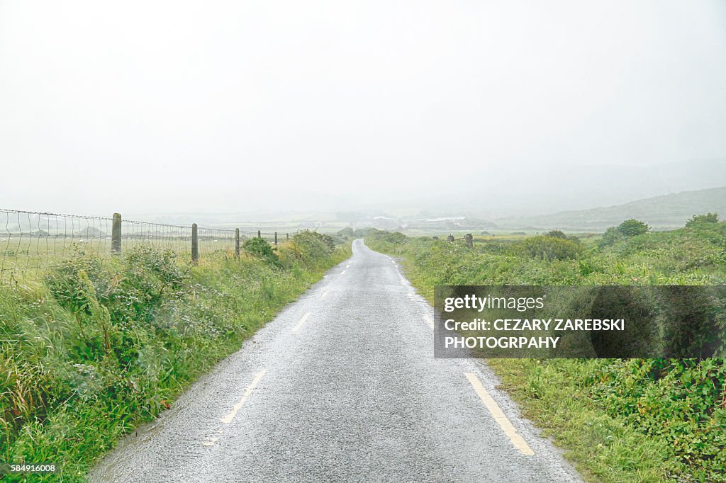 Foggy road