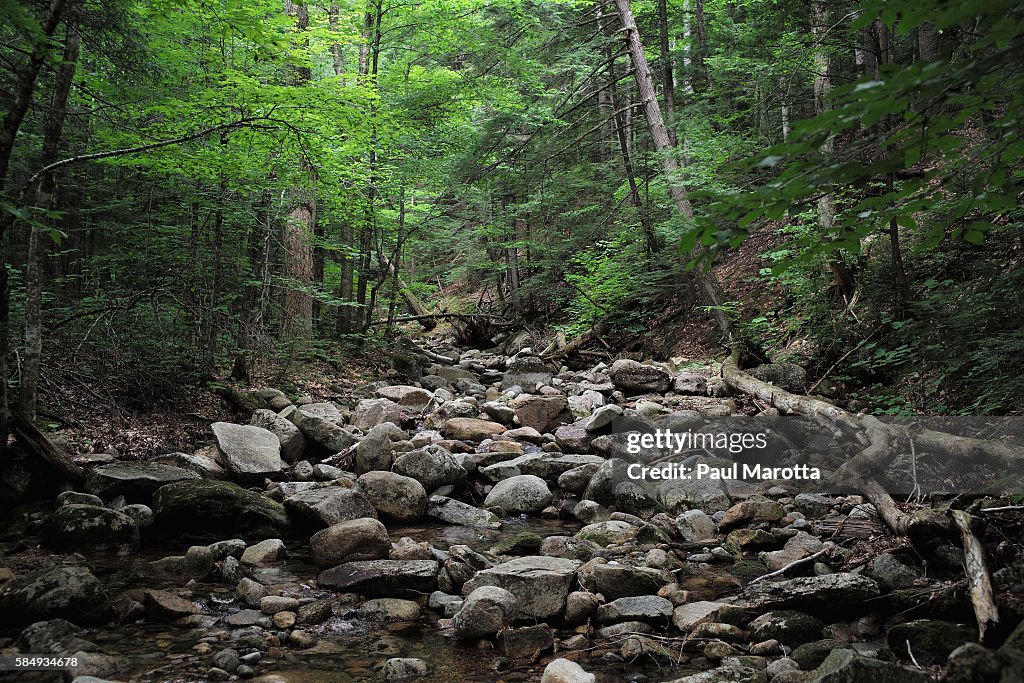 New England Exteriors & Landmarks