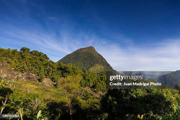 tropical jagged mountain of cerro tusa - antioquia stock pictures, royalty-free photos & images