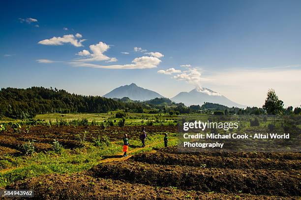 the edge of volcanoes national park - ruanda stock-fotos und bilder