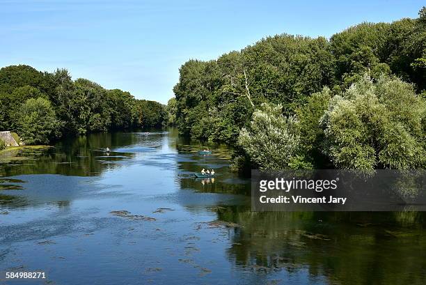 cher river - chenonceau stock pictures, royalty-free photos & images