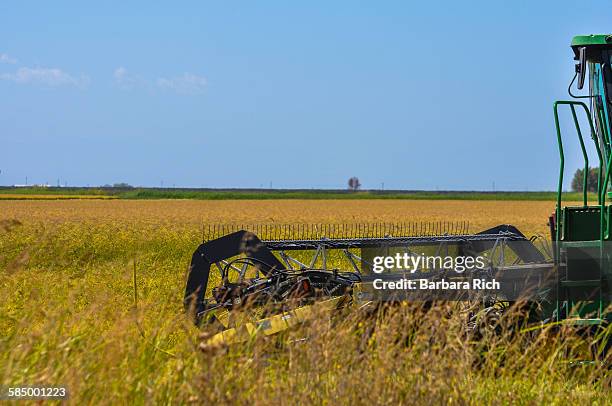 Calrose Rice Staters 25 Calrose Rice Stock Photos, High-Res Pictures, and Images - Getty Images