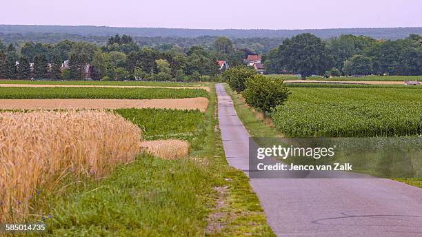 road to the village - jenco van zalk stock pictures, royalty-free photos & images