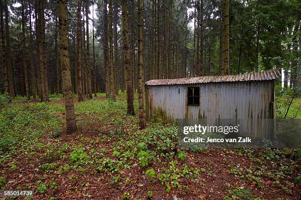 barn in the woods - jenco van zalk stock pictures, royalty-free photos & images