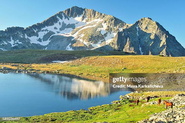 kamenitza peak and tevno lake, pirin, bulgaria - pirin mountains stockfoto's en -beelden