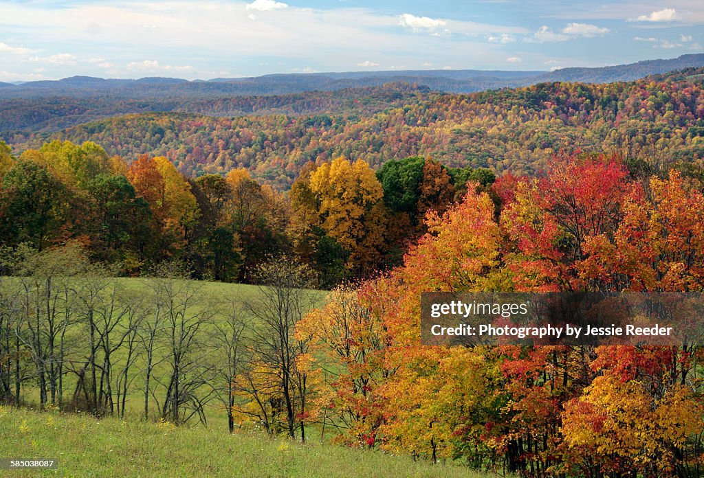 Fall In Wv Fall Colors In The Mountains Of West Virginia High-Res Stock Photo ...