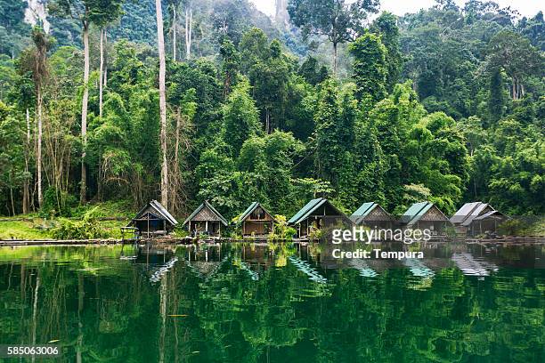 lago kao sok national park e capannoni abitanti del villaggio. - tailandia foto e immagini stock