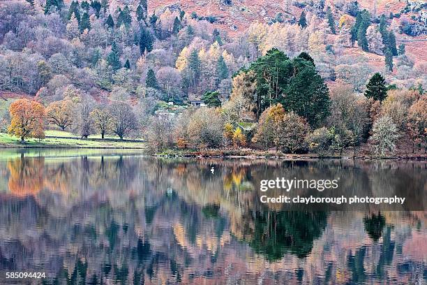 i love the lake district - lake windermere bildbanksfoton och bilder