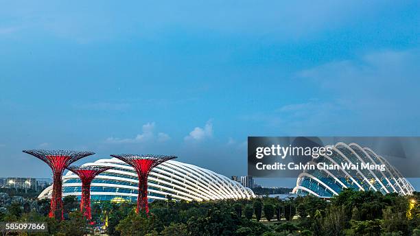 gardens by the bay -singapore - nature resources and conservation agency bildbanksfoton och bilder