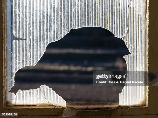 Smashed Against 560 Face Smashed Against Window Stock Photos, High-Res Pictures, and ...