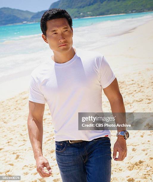 Danny Kin Ho 161 Chin Ho Kelly Stock Photos, High-Res Pictures, and Images - Getty ...