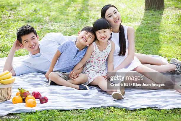 happy young family having picnic on grass - front view portrait of four children sitting on rock stock-fotos und bilder