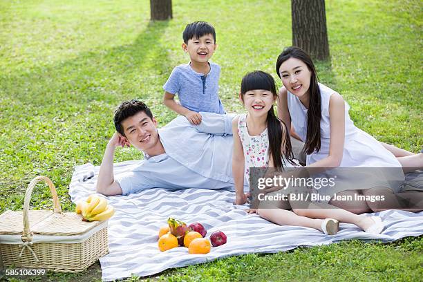 happy young family having picnic on grass - front view portrait of four children sitting on rock stock-fotos und bilder