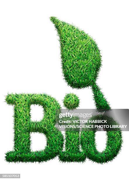 bio made from grass, illustration - ecosystem stock illustrations