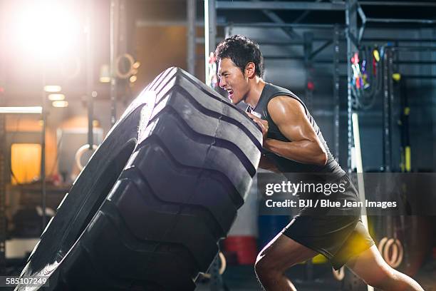 young man pushing large tire in gym gym - seulement des jeunes hommes photos et images de collection