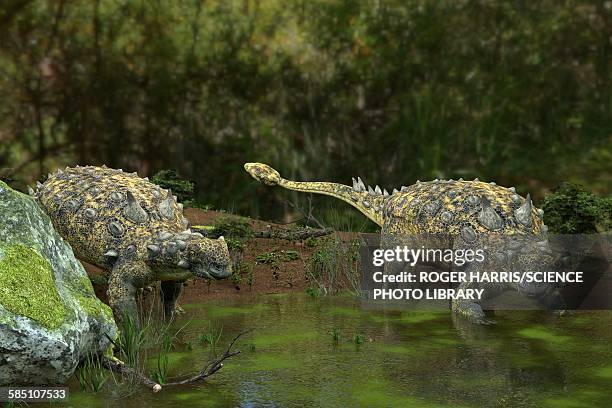 euoplocephalus dinosaurs, illustration - thyreophora stock illustrations