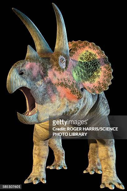 ilustraciones, imágenes clip art, dibujos animados e iconos de stock de triceratops dinosaur, illustration - triceratops