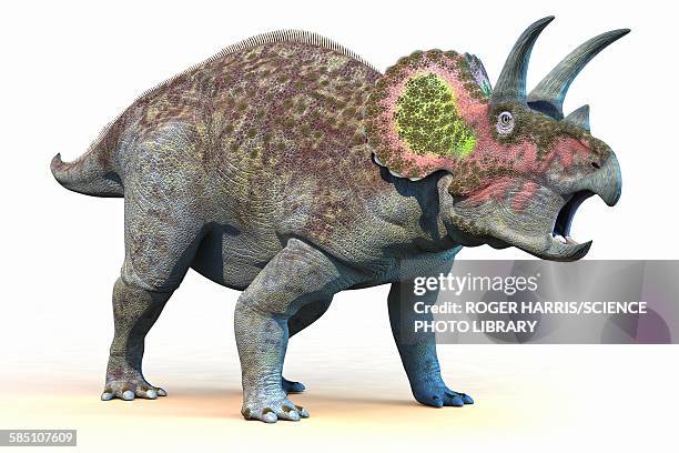 stockillustraties, clipart, cartoons en iconen met triceratops dinosaur, illustration - triceratops