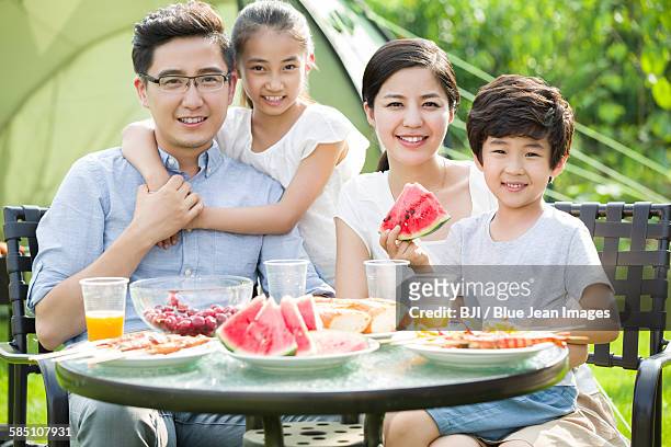 young family picnicking outdoors - front view portrait of four children sitting on rock stock-fotos und bilder