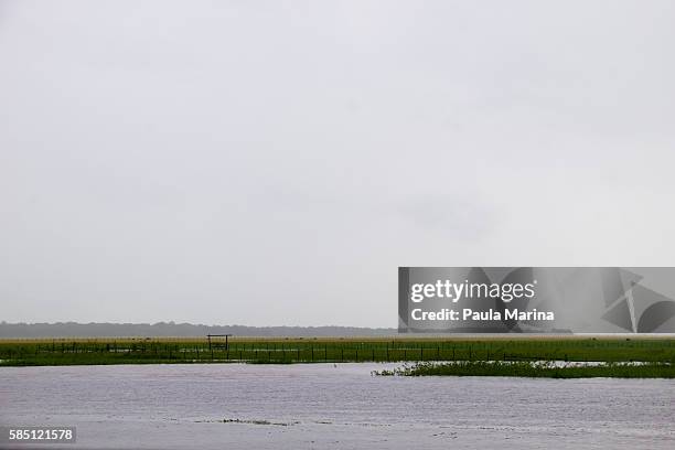 low perspective of cururu river - paisagem natureza stock pictures, royalty-free photos & images