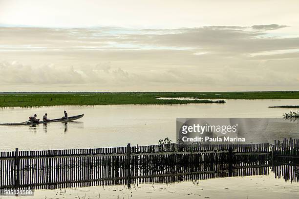 men on a canoe - paisagem natureza fotografías e imágenes de stock