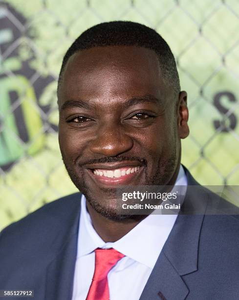 Adewale Akinnuoye-Agbaje attends the world premiere of "Suicide Squad" at The Beacon Theatre on August 1, 2016 in New York City.