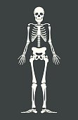 Scary skeleton. Vector flat cartoon illustration