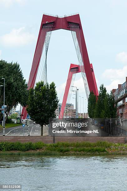 willemsbridge in rotterdam connects city center with noorder island - erasmusbrug stock pictures, royalty-free photos & images