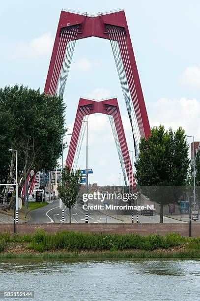 pylons of the willemsbridge in rotterdam - erasmusbrug stock pictures, royalty-free photos & images