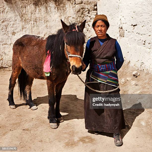 tibetan woman leads her horse, upper mustang, nepal - lo manthang stock pictures, royalty-free photos & images