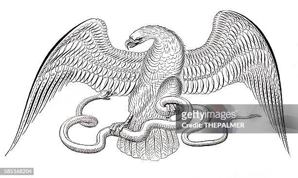 eagle and snake penmanship calligraphy 1881 - embellishment stock illustrations