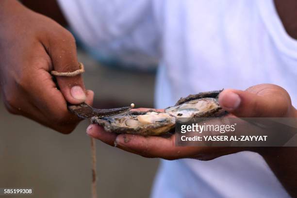 Kuwaiti finds a pearl in a shell that divers picked from the sea during the annual pearl diving season on August 2, 2016 off the coast of the port...