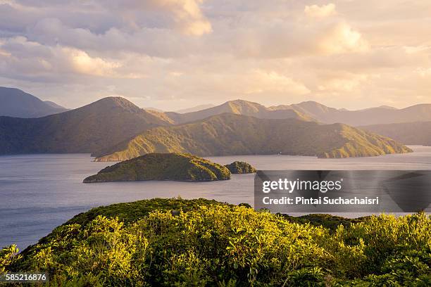 sunrise over marlborough sounds, new zealand - inlet stockfoto's en -beelden