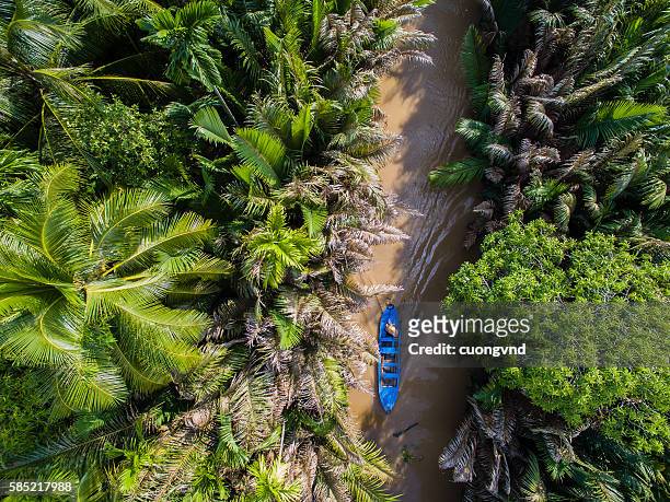 coconut plantation in mekong delta from above - vietnam foto e immagini stock
