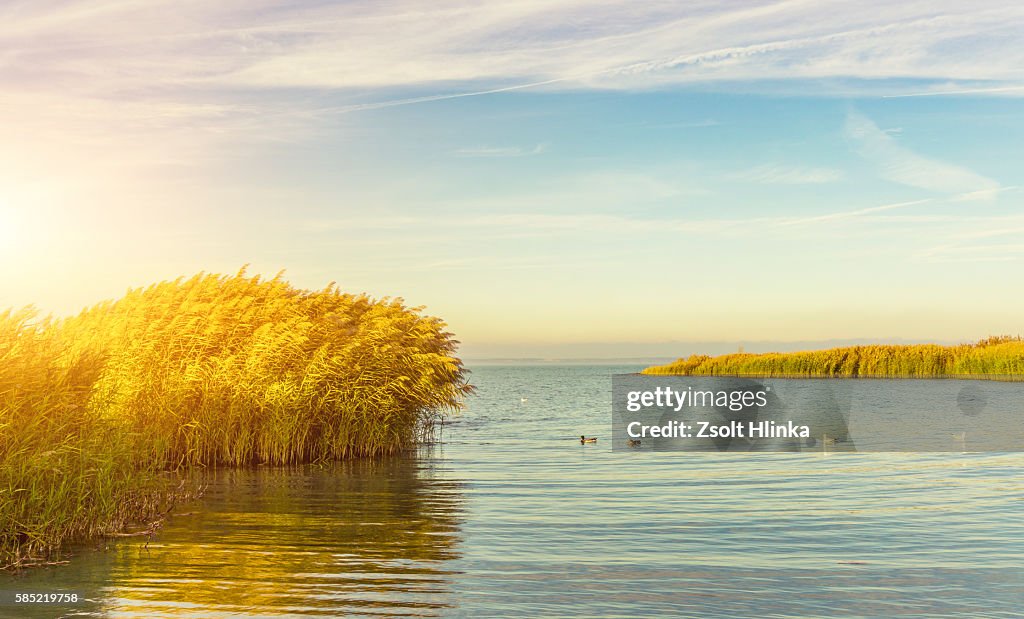 Lake Balaton