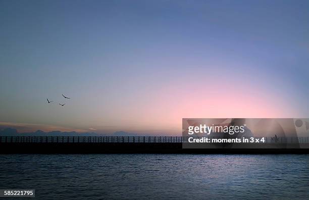 sunset at the breakwater - groyne ストックフォトと画像