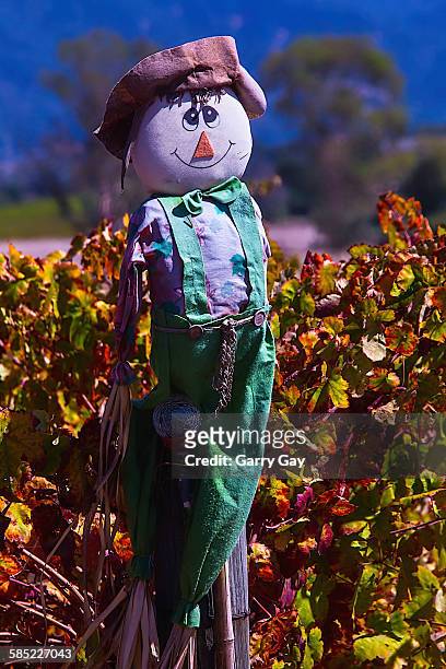 autumn scarecrow - scarecrow faces stock pictures, royalty-free photos & images