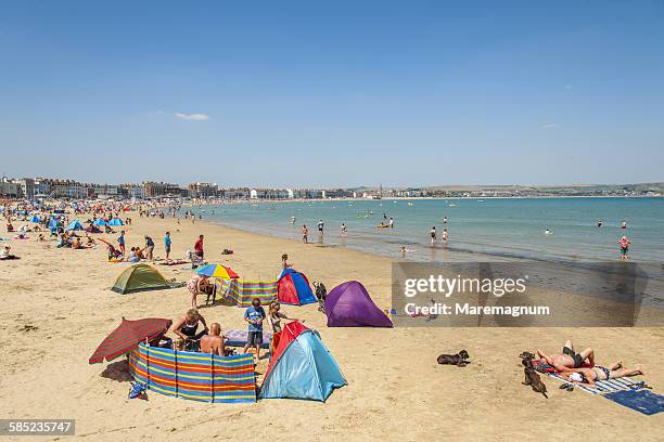 waymouth seaside town, the beach - weymouth dorset stock pictures, royalty-free photos & images