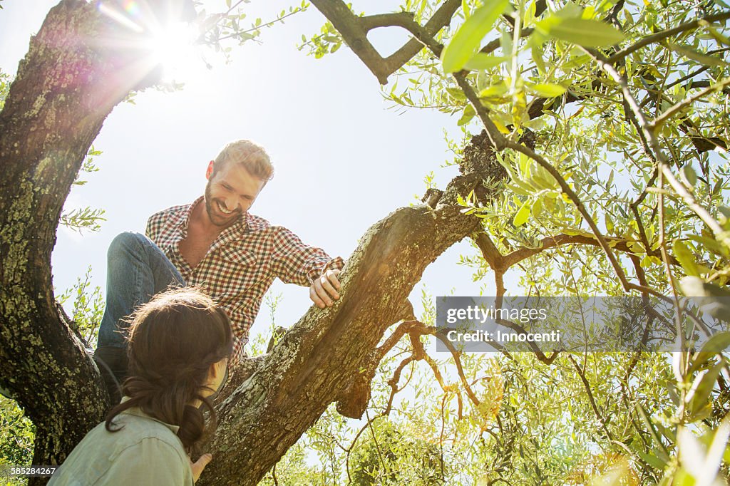 Low angle view of young couple climbing tree