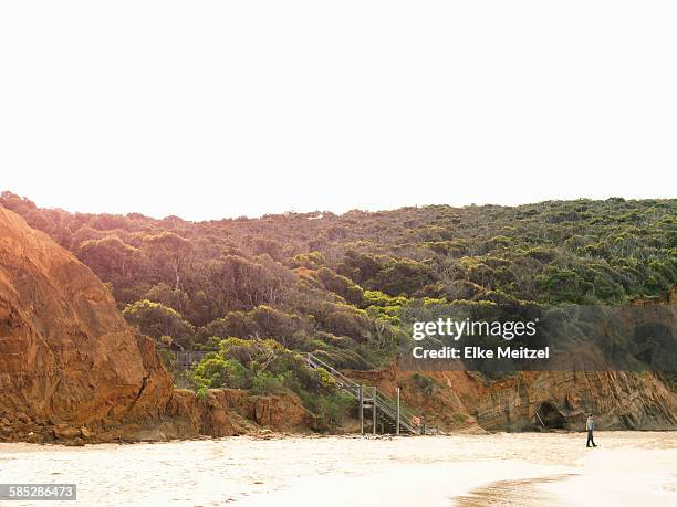 Point Addis Beach Photos and Premium High Res Pictures - Getty Images