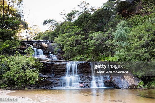 waterfall, wentworth falls, blue mountain national park, new south wales, australia - katoomba falls stock pictures, royalty-free photos & images