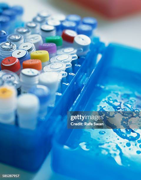 Dna Samples Keeping Box 437 Dna Storage Stock Photos, High-Res Pictures, and Images - Getty Images