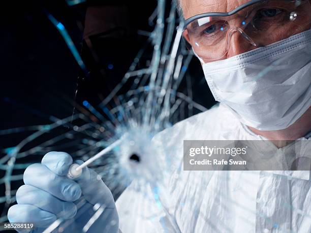 forensics officer using swab to collect evidence from broken window - bullet hole blood stock pictures, royalty-free photos & images