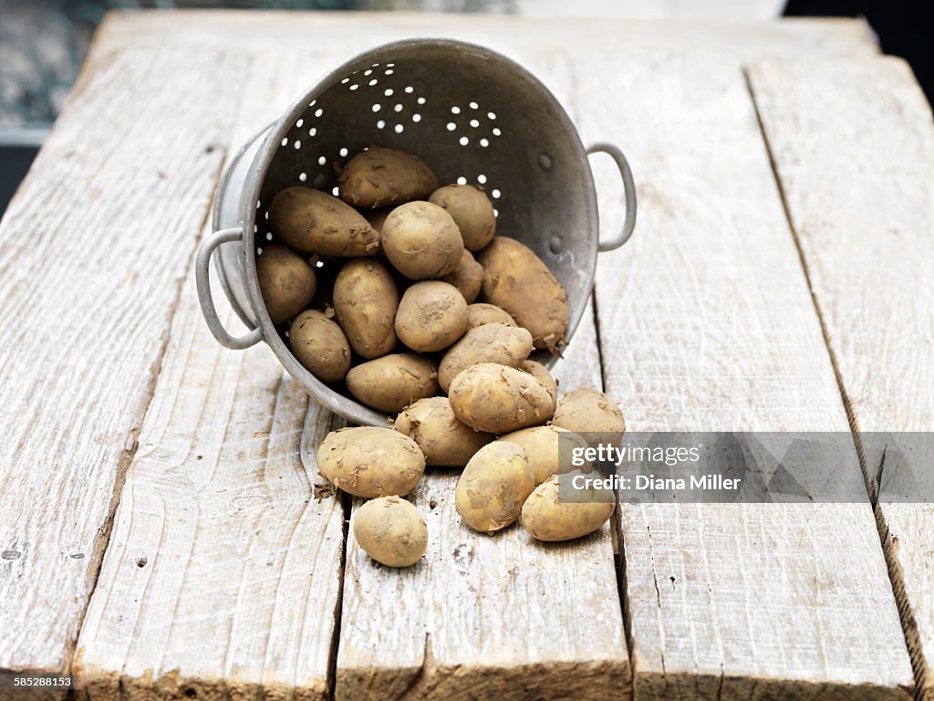 Still life of Jersey Royal Potatoes in colander on wooden table