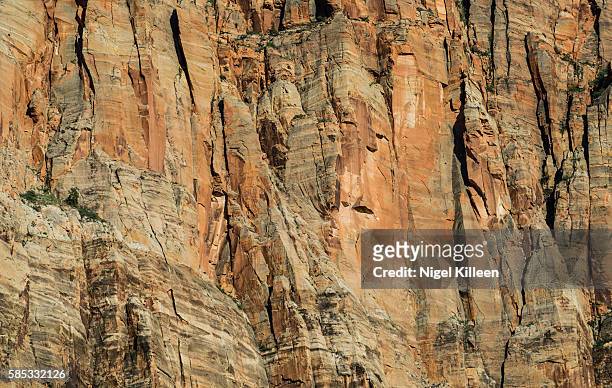 rock face - rock formation texture stock pictures, royalty-free photos & images