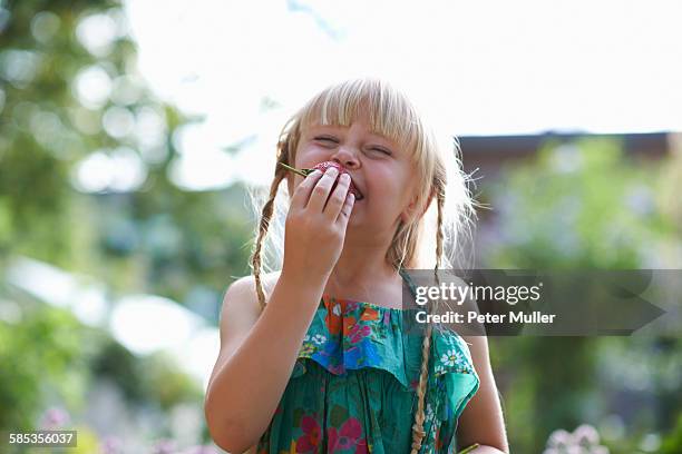 portrait of girl eating a fresh strawberry in garden - child eating juicy stock pictures, royalty-free photos & images