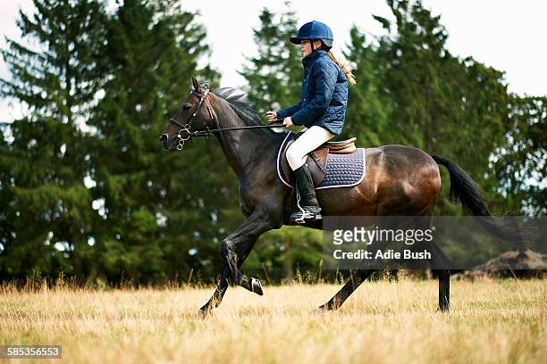 girl riding horse in field - riding helmet stock pictures, royalty-free photos & images