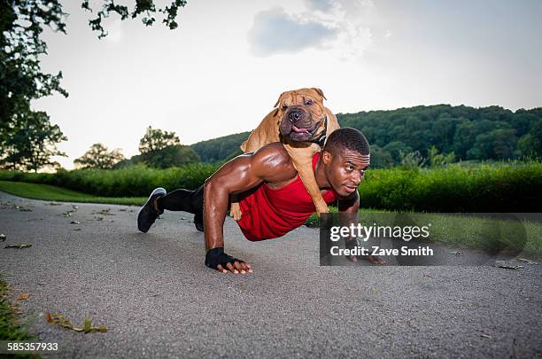 young man doing pushups on rural road whilst giving dog a piggyback - animal trainer stock-fotos und bilder