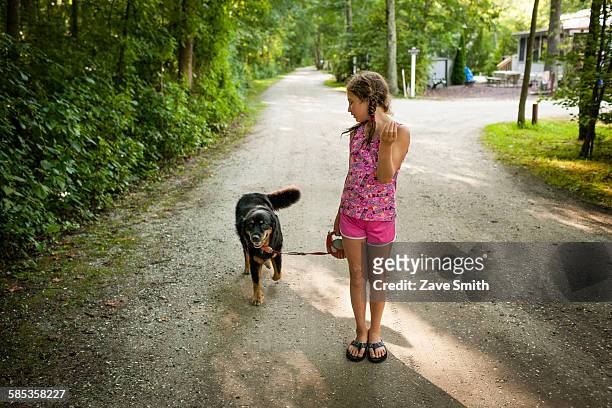 front view of girl on dirt road, walking dog, looking over shoulder - dog looking over shoulder stock pictures, royalty-free photos & images
